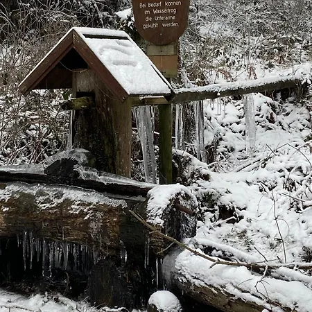 Im Hahnenklee Harz