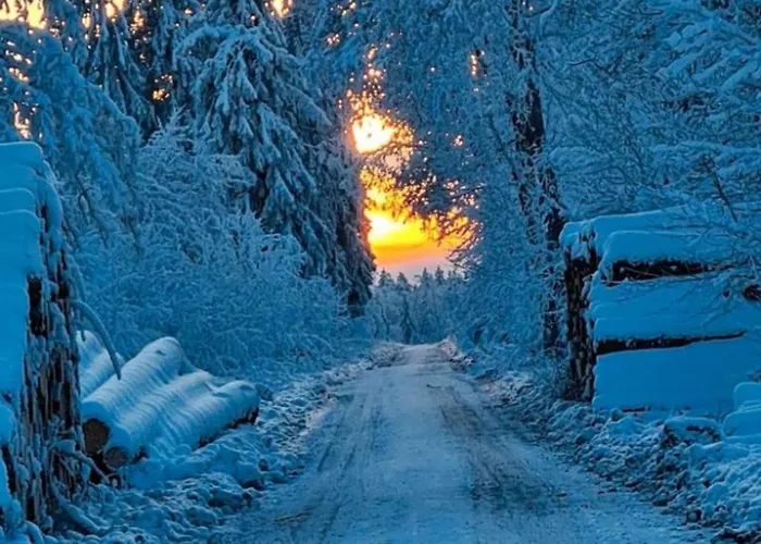 Apartman Im Hahnenklee Harz Goslar